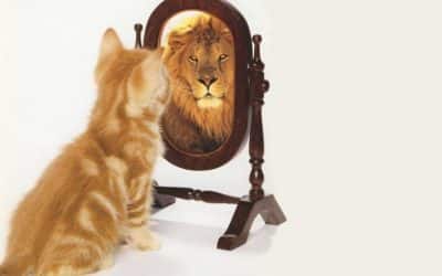 La confiance en soi: l’alliance de l’introspection et de l’action – Article